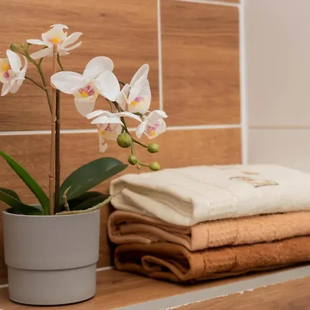 Apartament Goszowita