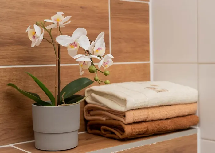 Appartement Goszowita